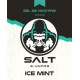 Ice Mint 10ML - Salt E-Vapor by Le French Liquide