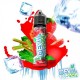 Fraise Rhubarbe Ice 50ML Devil Squiz - Avap