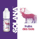 Fruits des bois 10ml par 10 - Solana