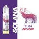 Fruits des bois 50ml - Solana