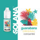Guanabana concentré 10ml par 10 - Solana