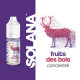 Fruits des bois concentré 10ml par 10 - Solana