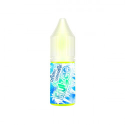 Concentré Icee Mint 10ml par 10 - Fruizee