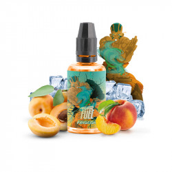 Concentré Kansetsu 30ml - Fighter Fuel by Maison Fuel