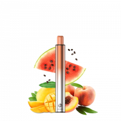 Flex Puff Peach Mango Watermelon - Vabeen