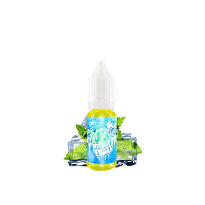 eSalt - Icee Mint 10ML - Eliquid France