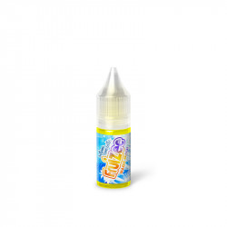 Concentré Magic Beach 10ml par 10 - Fruizee