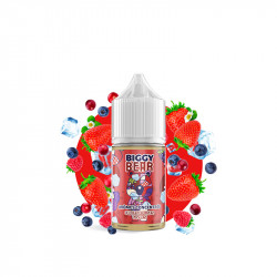 Concentré Fruits Rouges Givrés 30ml - Biggy Bear