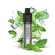 Cliq 15K puffs - Menthe Fraîche - AVM