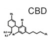 CBD